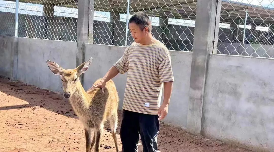 丰来国际娱乐